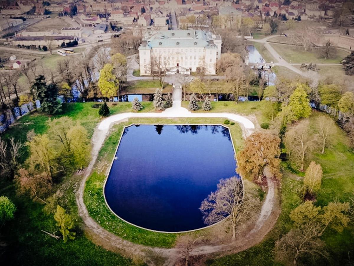 Hotel Zamek Krolewski W Rydzynie Rydzyna Buitenkant foto