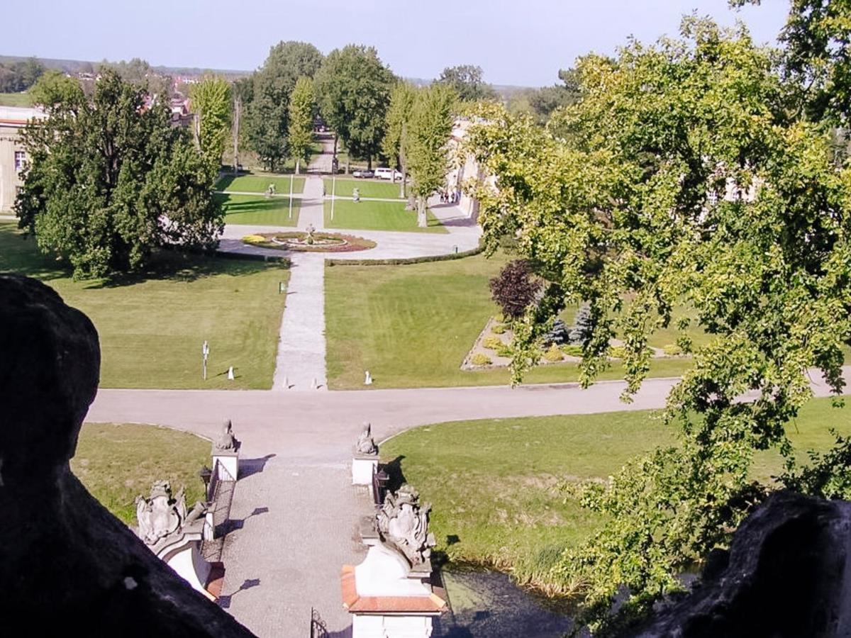 Hotel Zamek Krolewski W Rydzynie Rydzyna Buitenkant foto