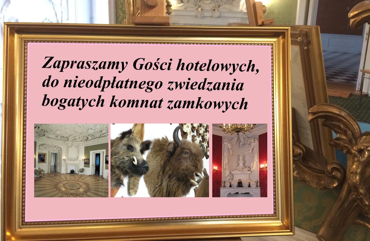 Hotel Zamek Krolewski W Rydzynie Rydzyna Buitenkant foto